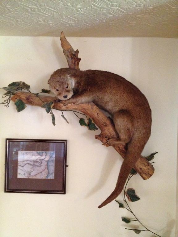 The Lazy Otter Bed and Breakfast Stretham Buitenkant foto